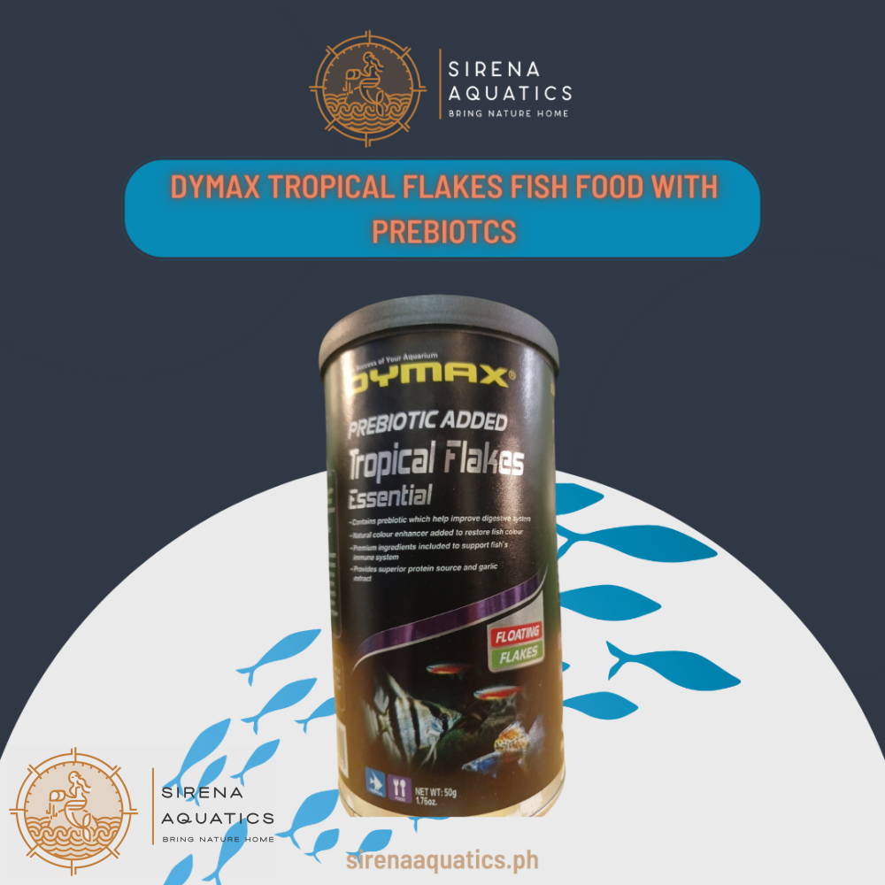 Dymax Tropical Essential Floating Flakes With Garlic Extract For Angelfish Mollies And Guppies Fish