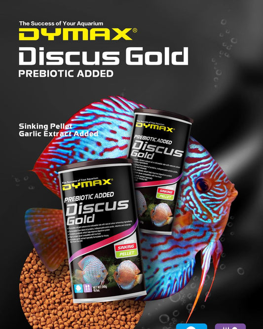 Dymax Discus Gold Sinking Pellets With Garlic Extract - Protein-Rich Diet For Species (170G) Fish