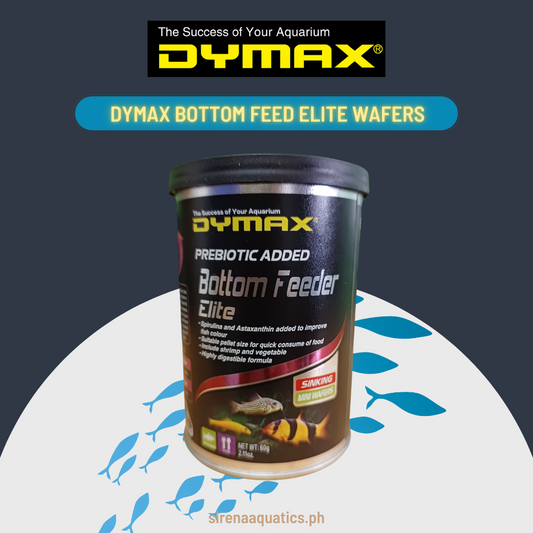 Dymax Bottom Feeder Elite - Nutrient-Packed Mini Wafers For Health & Color (60G) Fish Food