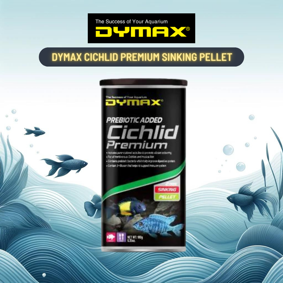 Dymax Cichlid Premium - High-Quality Sinking Pellet For Vibrant Cichlids (180G) Fish Food