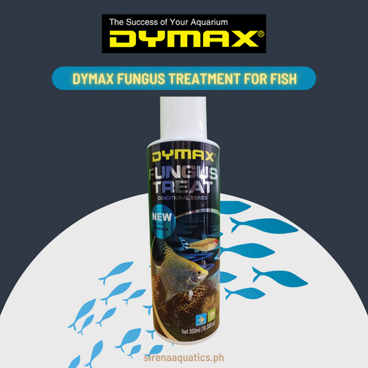 Dymax Fungus Treat Water Treatment for Fish - Eliminates Common Fungal Diseases and Infections - Safe for Aquatic Plants and Marine Aquariums (300ml)