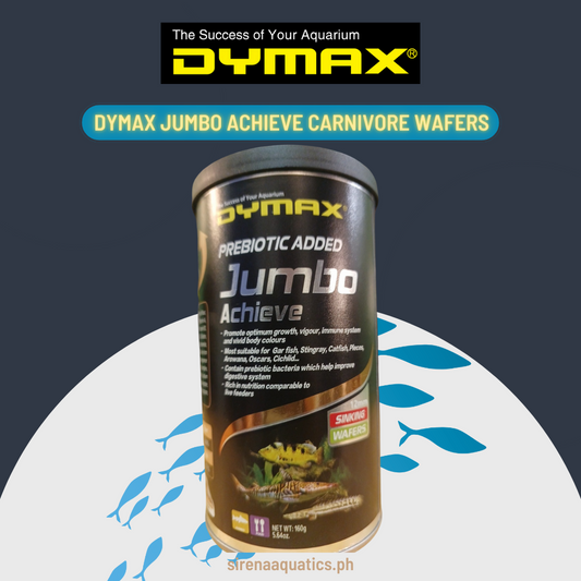 Dymax Jumbo Achieve Sinking Wafers for Carnivorous Fish with Prebiotic Bacteria - Promotes Health and Vigor (160g)