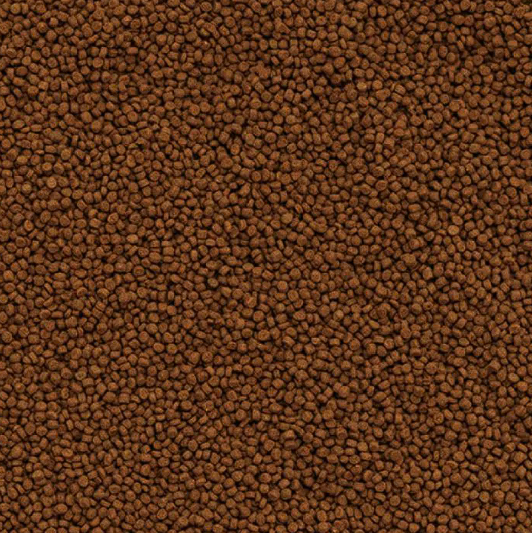 Dymax Marine Complete Pellet Fish Food (60G) - Premium Nutrition For Saltwater Fish!