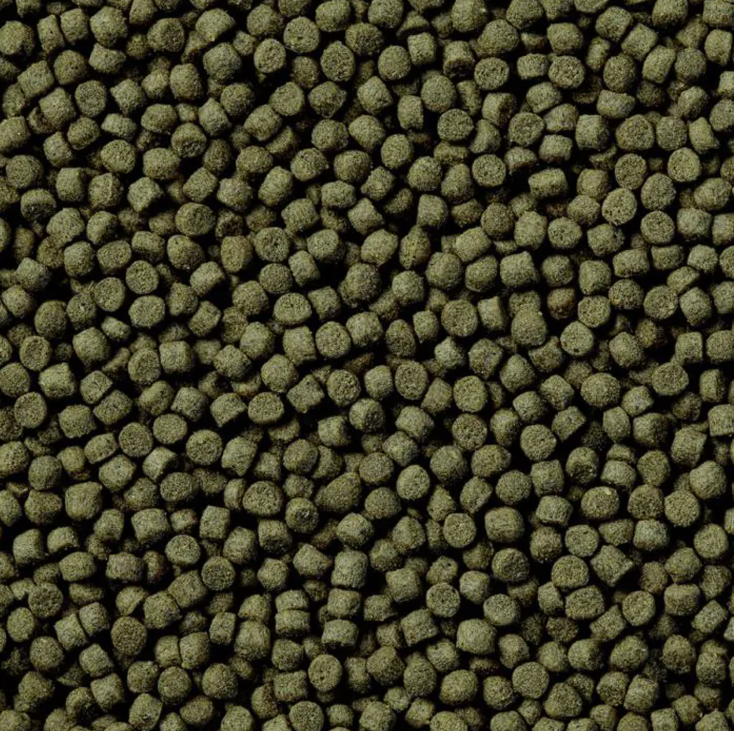 Dymax Marine Superior (60G) - Premium Food For Omnivorous And Herbivorous Saltwater Fish! Fish