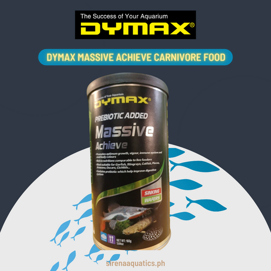 Dymax Massive Achieve Sinking Wafers - High Protein Fish Food for Garfish, Stingrays, Catfish, and More (160g)