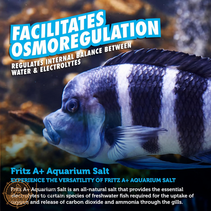 Fritz A + Aquarium Salt - All-Natural Solution For Healthy Fish & Stress Reduction! Water Additives