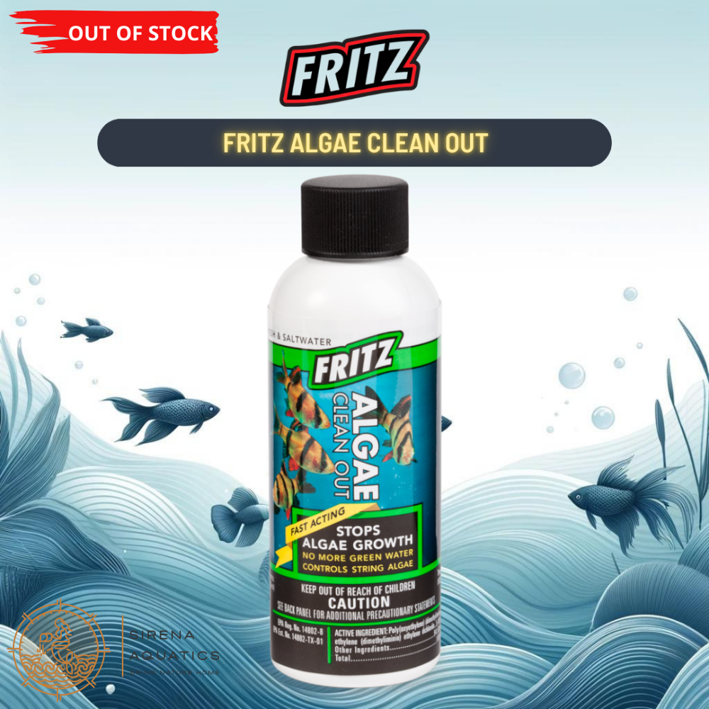Fritz Algae Clean Out - Powerful Algaecide For Freshwater & Saltwater Aquariums! Water Additives
