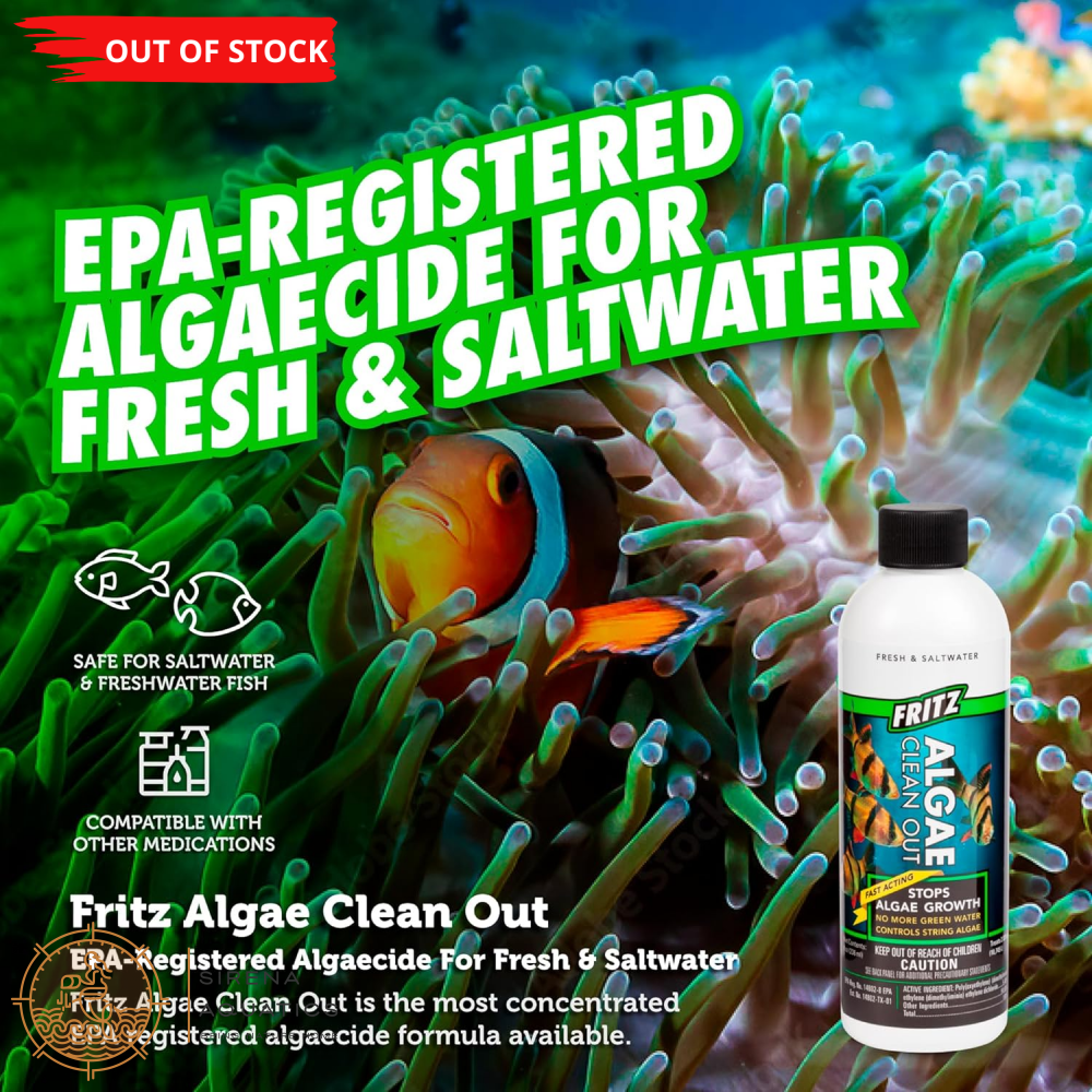 Fritz Algae Clean Out - Powerful Algaecide For Freshwater & Saltwater Aquariums! (4Oz) Water