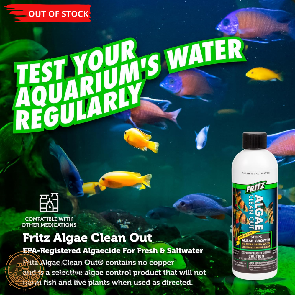 Fritz Algae Clean Out - Powerful Algaecide For Freshwater & Saltwater Aquariums! (4Oz) Water