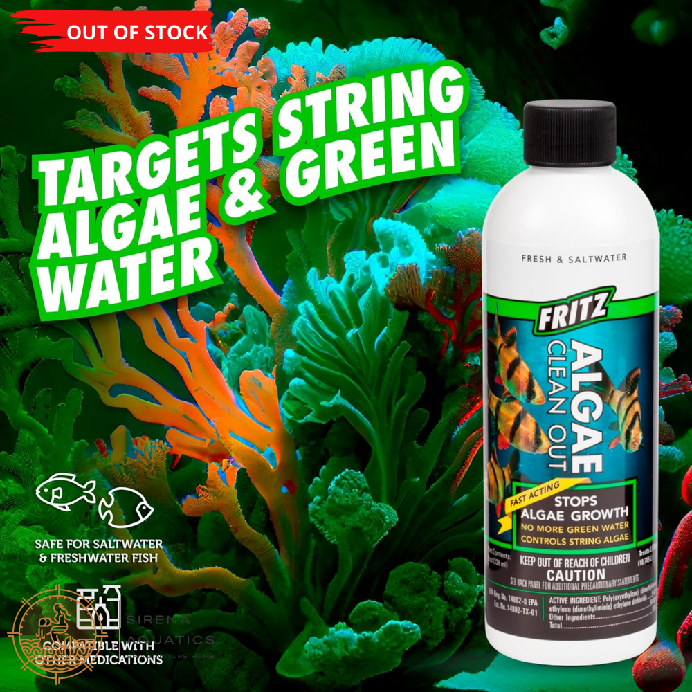Fritz Algae Clean Out - Powerful Algaecide For Freshwater & Saltwater Aquariums! (4Oz) Water