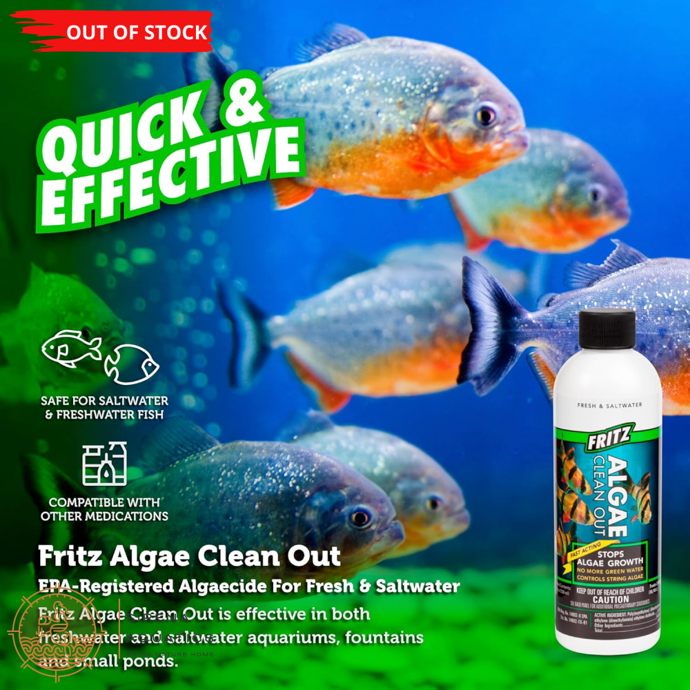 Fritz Algae Clean Out - Powerful Algaecide For Freshwater & Saltwater Aquariums! (4Oz) Water
