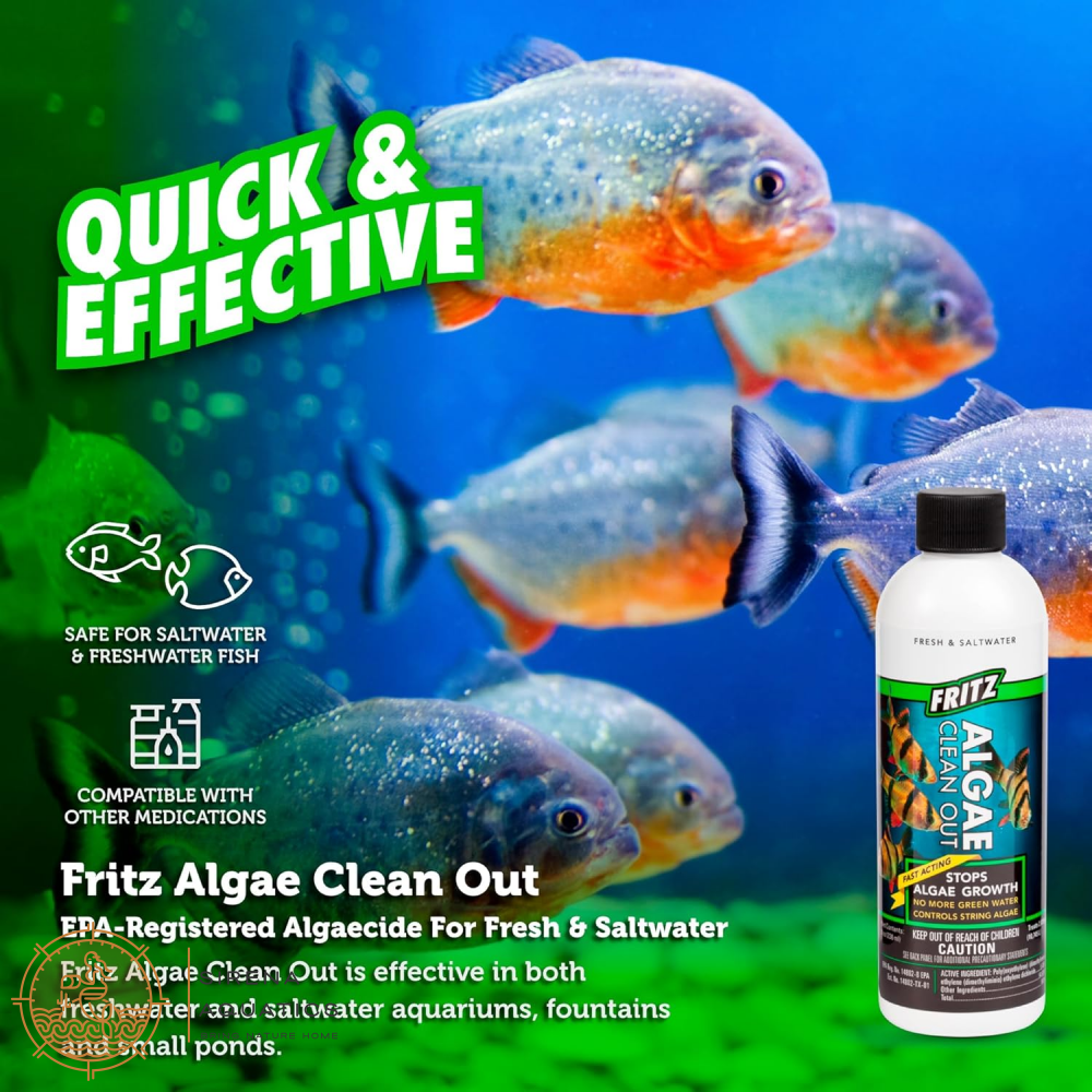 Fritz Algae Clean Out - Powerful Algaecide For Freshwater & Saltwater Aquariums! (4Oz) Water