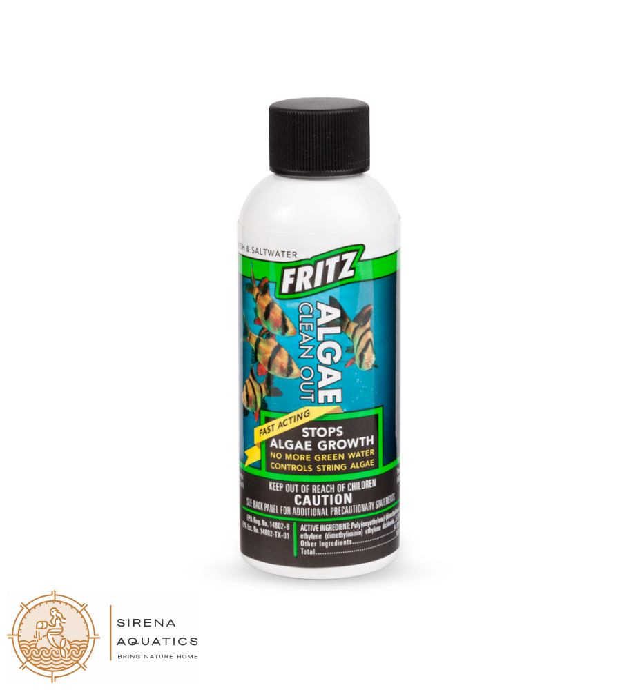 Fritz Algae Clean Out - Powerful Algaecide For Freshwater & Saltwater Aquariums! Water Additives