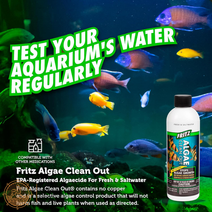 Fritz Algae Clean Out - Powerful Algaecide For Freshwater & Saltwater Aquariums! (4Oz) Water