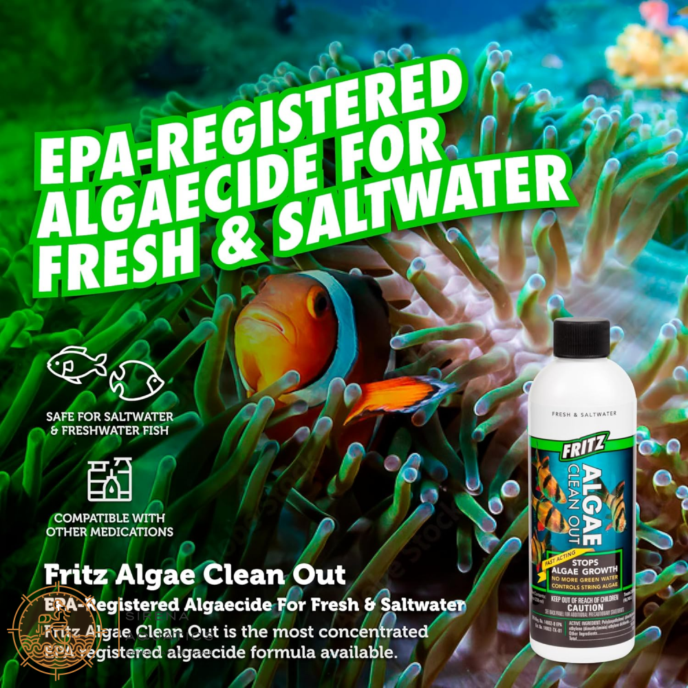 Fritz Algae Clean Out - Powerful Algaecide For Freshwater & Saltwater Aquariums! (4Oz) Water