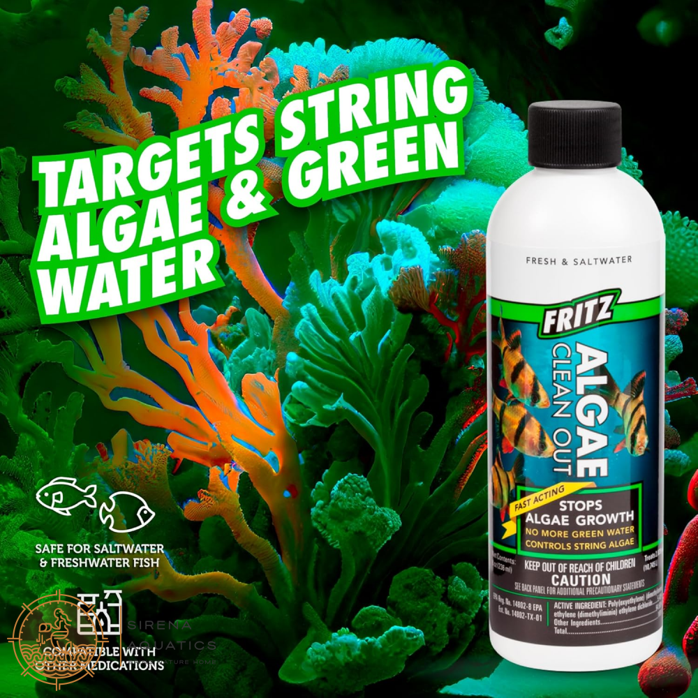 Fritz Algae Clean Out - Powerful Algaecide For Freshwater & Saltwater Aquariums! (4Oz) Water