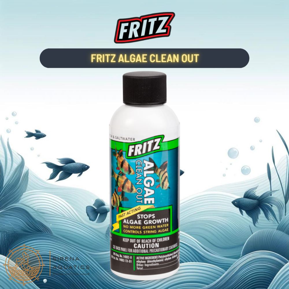 Fritz Algae Clean Out - Powerful Algaecide For Freshwater & Saltwater Aquariums! Water Additives