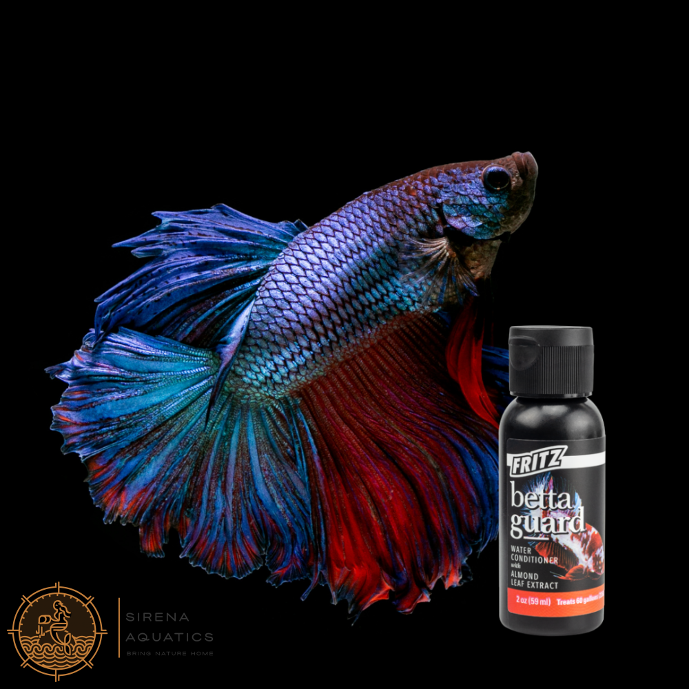 Fritz Betta Guard - Ph-Buffered Water Conditioner For Healthy Stress-Free Bettas! Additives