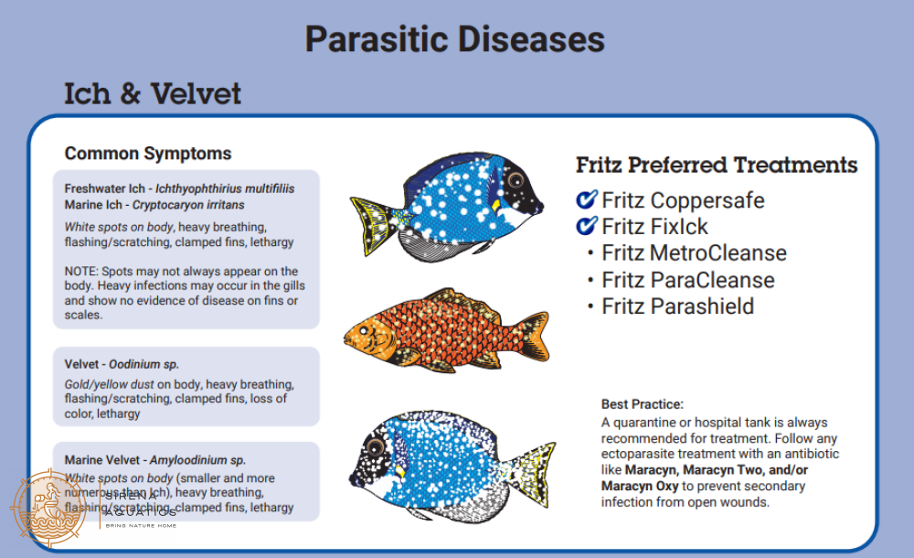 Fritz Parashield® - Ultimate Fish Defense Strengthens Slime Coat & Fights Infections! Water