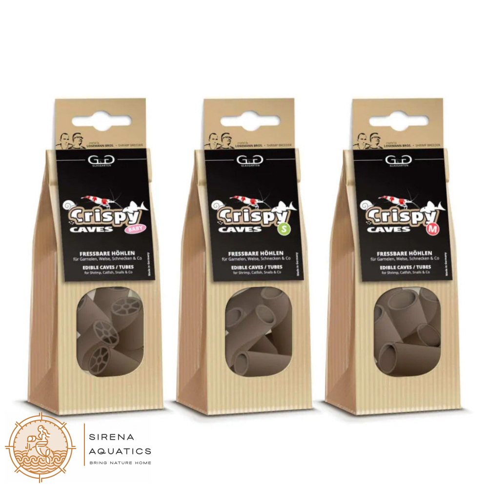 GlasGarten Crispy Caves - Edible caves for shrimp crayfish snails sucker catfish in aquarium