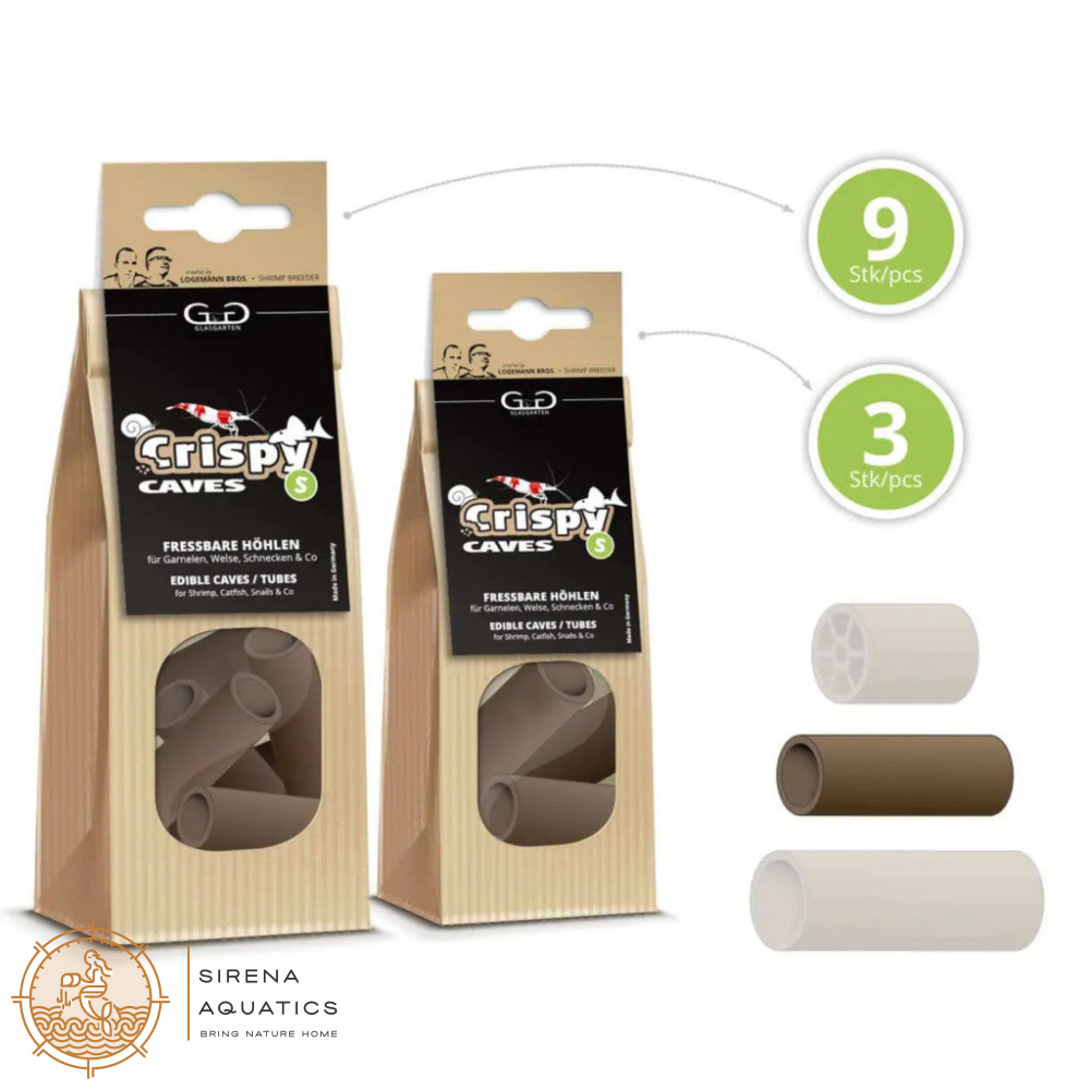 GlasGarten Crispy Caves - Edible caves for shrimp crayfish snails sucker catfish in aquarium Small, 3pcs