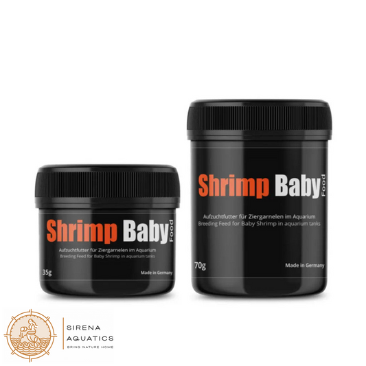 GlasGarten Shrimp Baby Food - Rearing food for ornamental shrimp fry breeding 35g