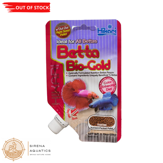 Hikari Tropical Betta Bio Gold 20G Fish Food