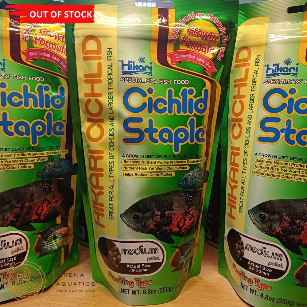 Hikari Cichlid Staple Medium Floating: Nutrient-Rich Fish Food For Cichlids - 250G