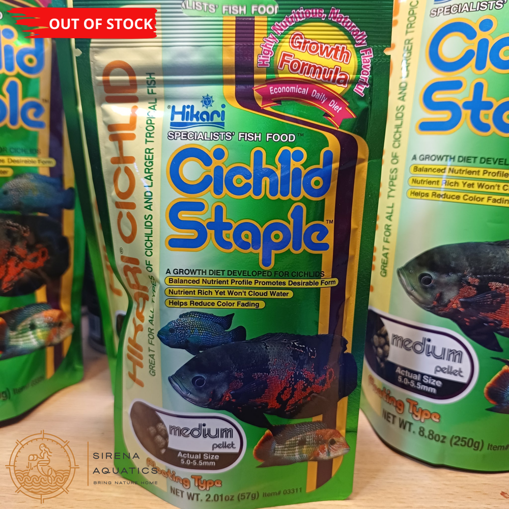 Hikari Cichlid Staple Medium Floating: Nutrient-Rich Fish Food For Cichlids - 57G