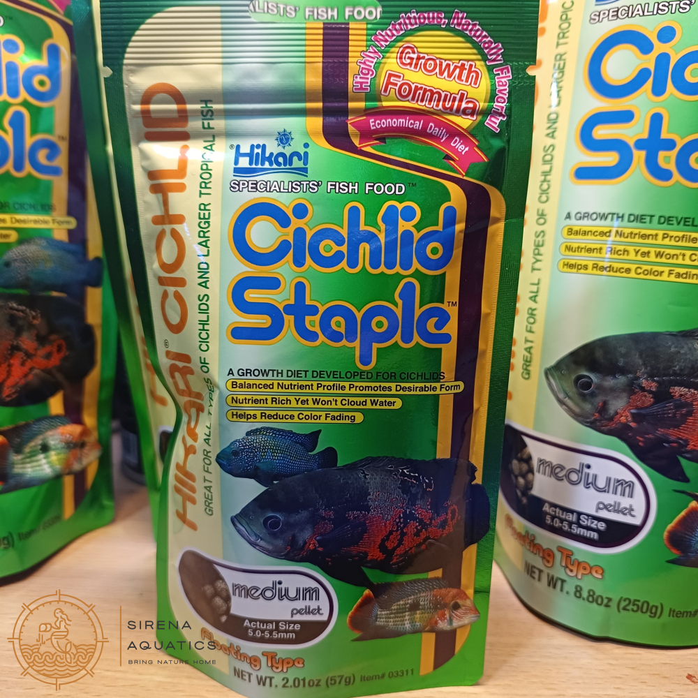 Hikari Cichlid Staple Medium Floating: Nutrient-Rich Fish Food For Cichlids - 57G