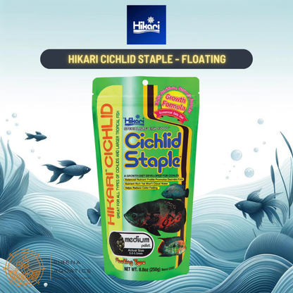 Hikari Cichlid Staple Medium Floating: Nutrient-Rich Fish Food For Cichlids