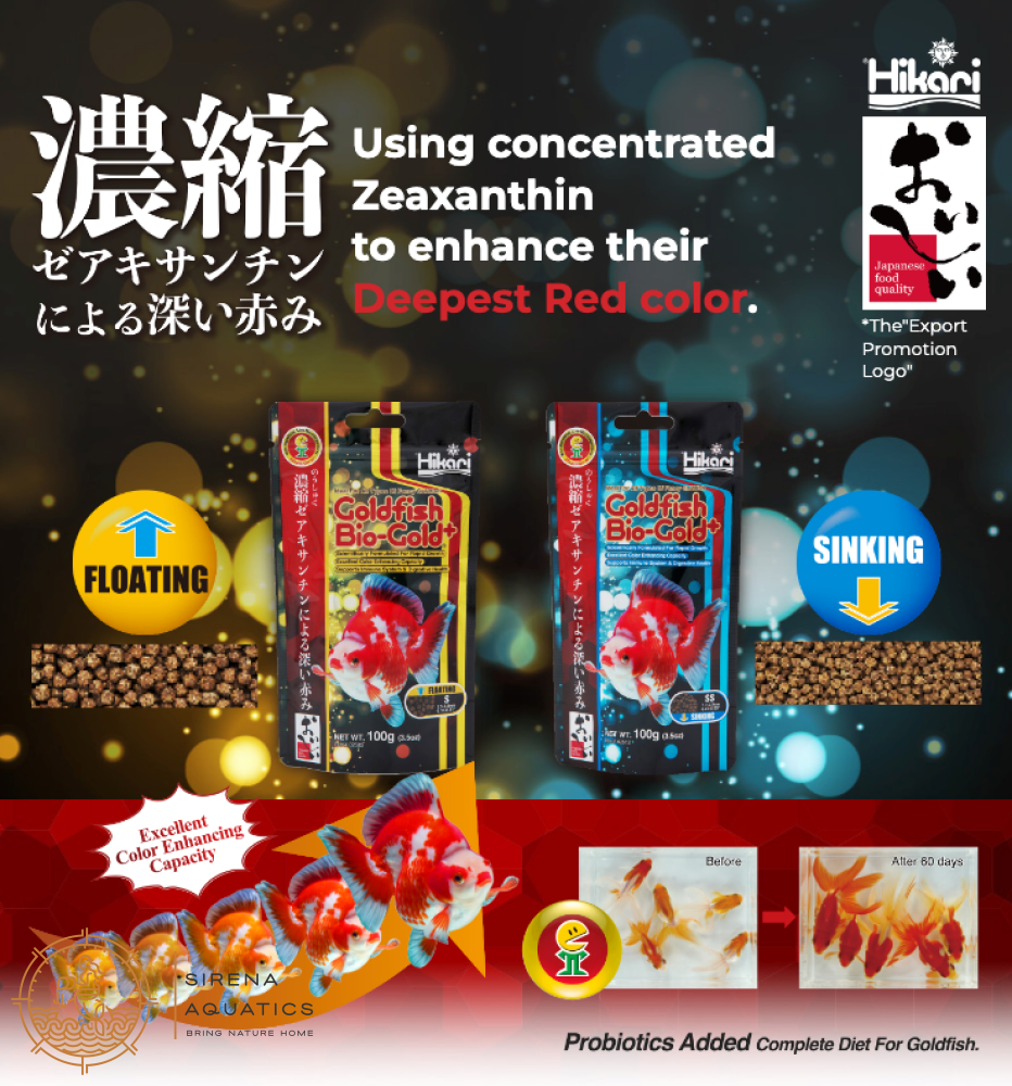 Hikari Goldfish Biogold Plus: Premium Fancy Food For Enhanced Color And Health Fish