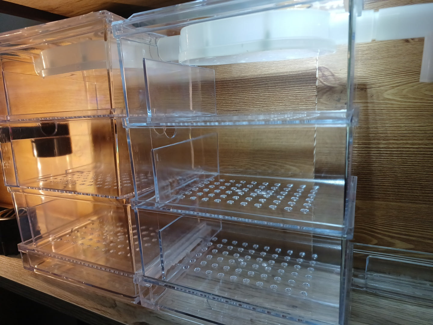 Seabillion Mini Plastic Triple Decker Trickle Filter - With 6 Trays! (45Cm) Filters And Media