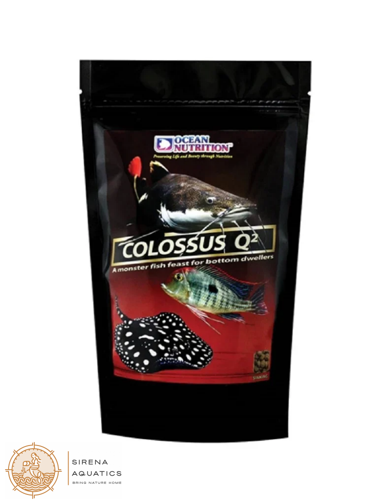 Ocean Nutrition Colossus Q² (Sinking) Fish Food