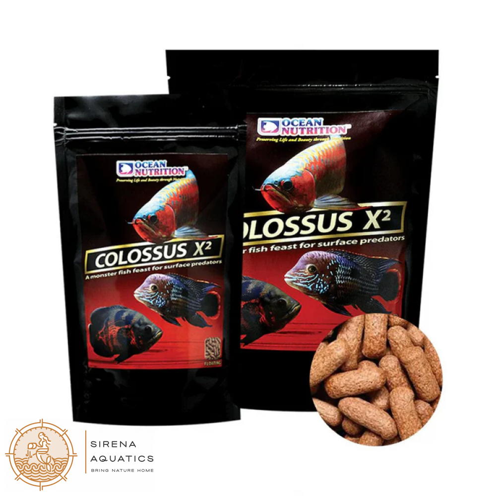 Ocean Nutrition Colossus X² (Floating) Fish Food