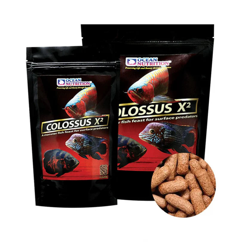 Ocean Nutrition Colossus X² (Floating) Fish Food