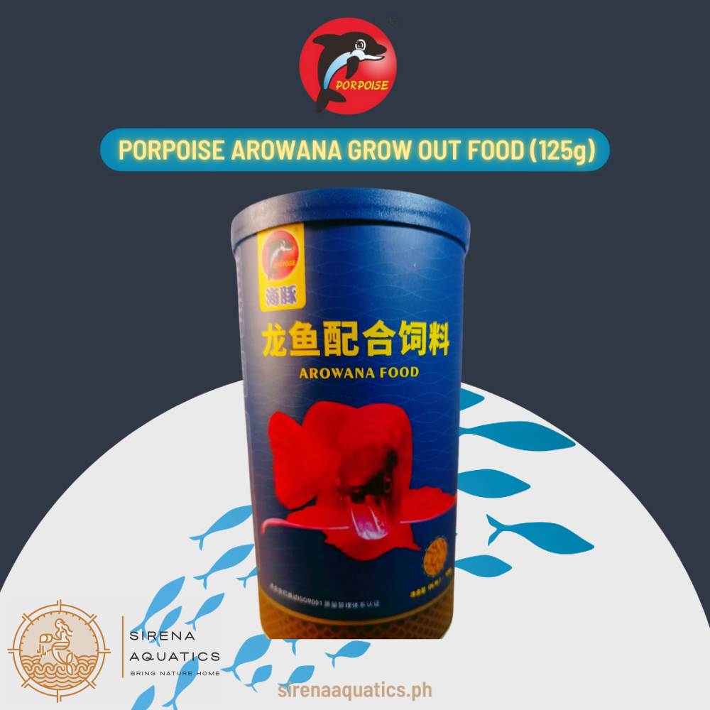 Porpoise Arowana Grow Out Food 125g - High Protein Diet for Rapid Grow ...