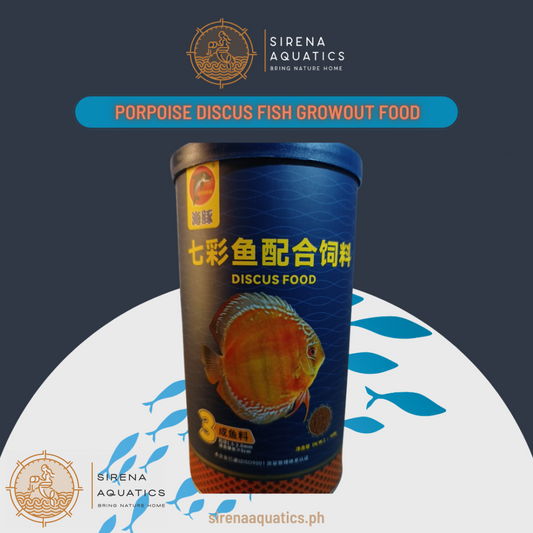 Porpoise Discus Food - Enhances Color And Good For Growing Out With 45% Protein (160G) Fish
