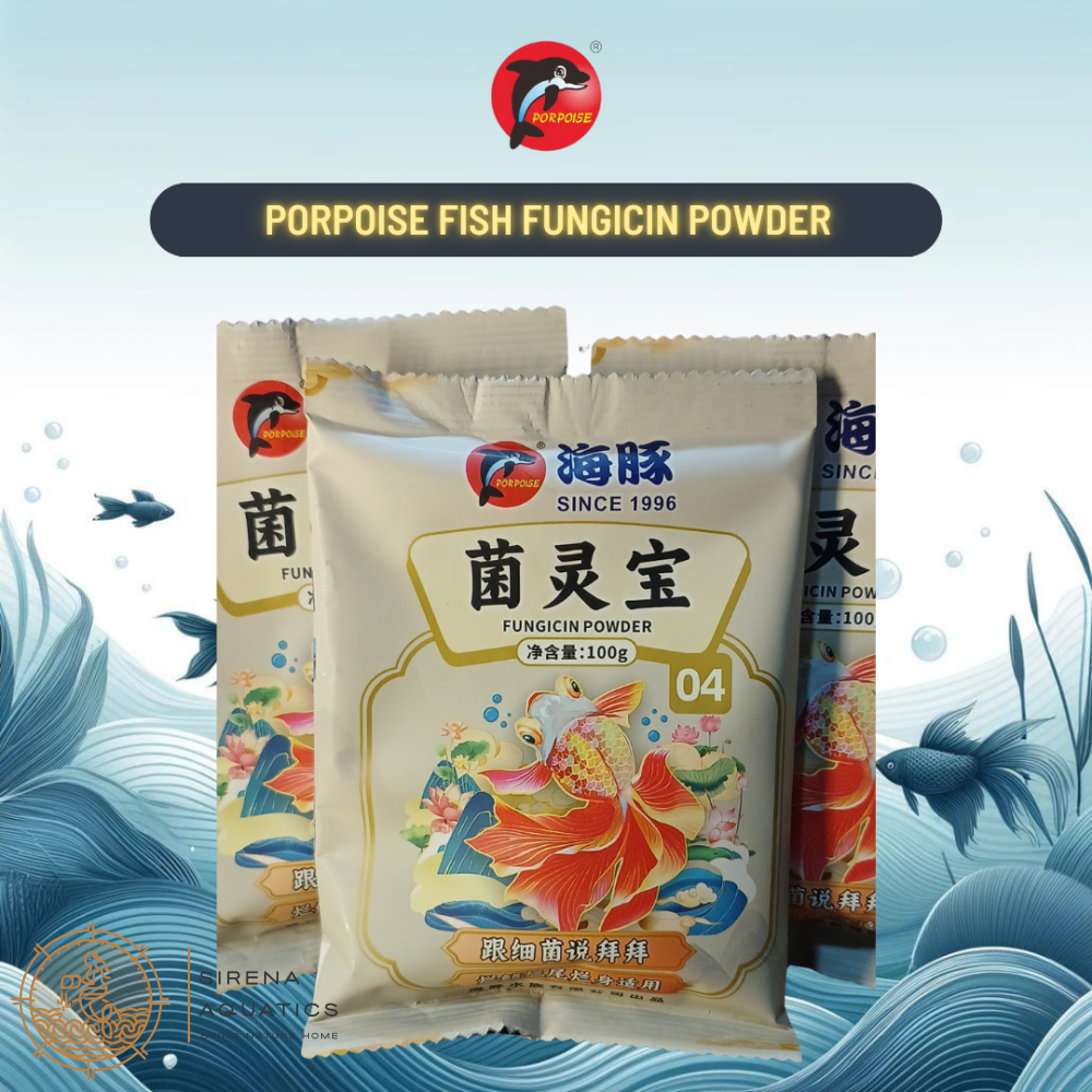 Porpoise Fungicin Powder Anti Fungal And Bacterial Medication For Aquarium Fish (100G) Water