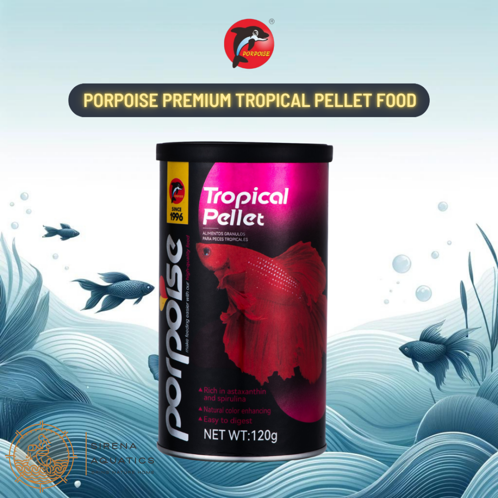 Porpoise Premium Tropical Pellet Fish Food For Guppies Tetras Bettas And More (120G)