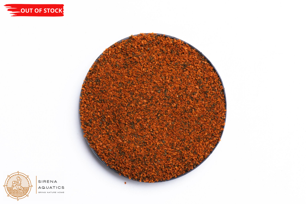 Porpoise Premium Tropical Pellet Fish Food For Guppies Tetras Bettas And More (120G)