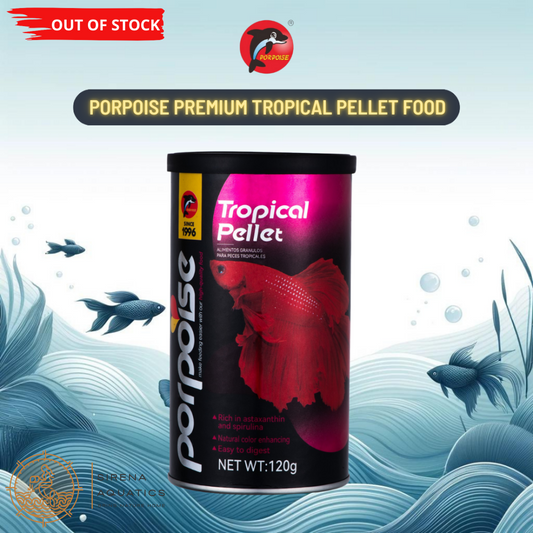 Porpoise Premium Tropical Pellet Fish Food For Guppies Tetras Bettas And More (120G)