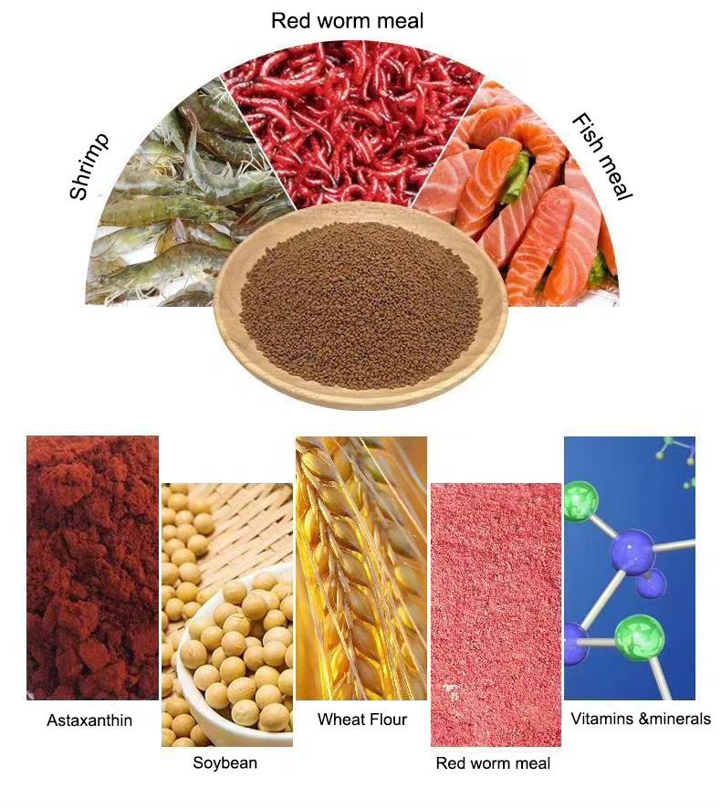 Porpoise Discus Food - Enhances Color And Good For Growing Out With 45% Protein (160G) Fish