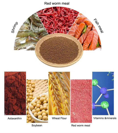 Porpoise Discus Food - Enhances Color And Good For Growing Out With 45% Protein (160G) Fish