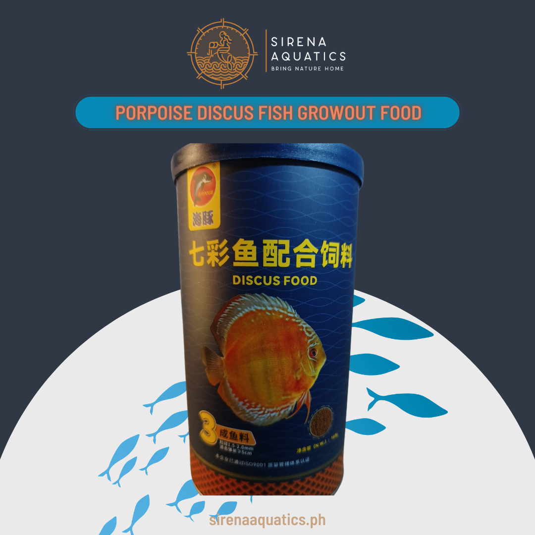 Porpoise Discus Food - Enhances Color And Good For Growing Out With 45% Protein (160G) Fish