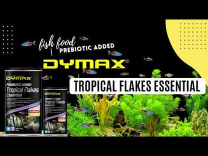 Dymax Tropical Essential Floating Flakes with Garlic Extract for Angelfish, Mollies, and Guppies (50g)