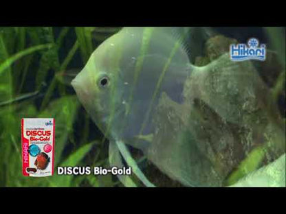 Hikari Discus Bio Gold Fish Food for Finicky Eaters and Wild Caught Breeding (80g)