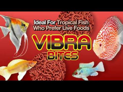 Hikari Vibra Bites Fish Nutrition for Growth and Immune System Support