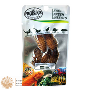 Probugs Dubia Cockroach (5Pcs) - High Protein All-Natural Food For Monster Fish Reptiles &