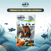 Probugs Dubia Cockroach (5Pcs) - High Protein All-Natural Food For Monster Fish Reptiles &